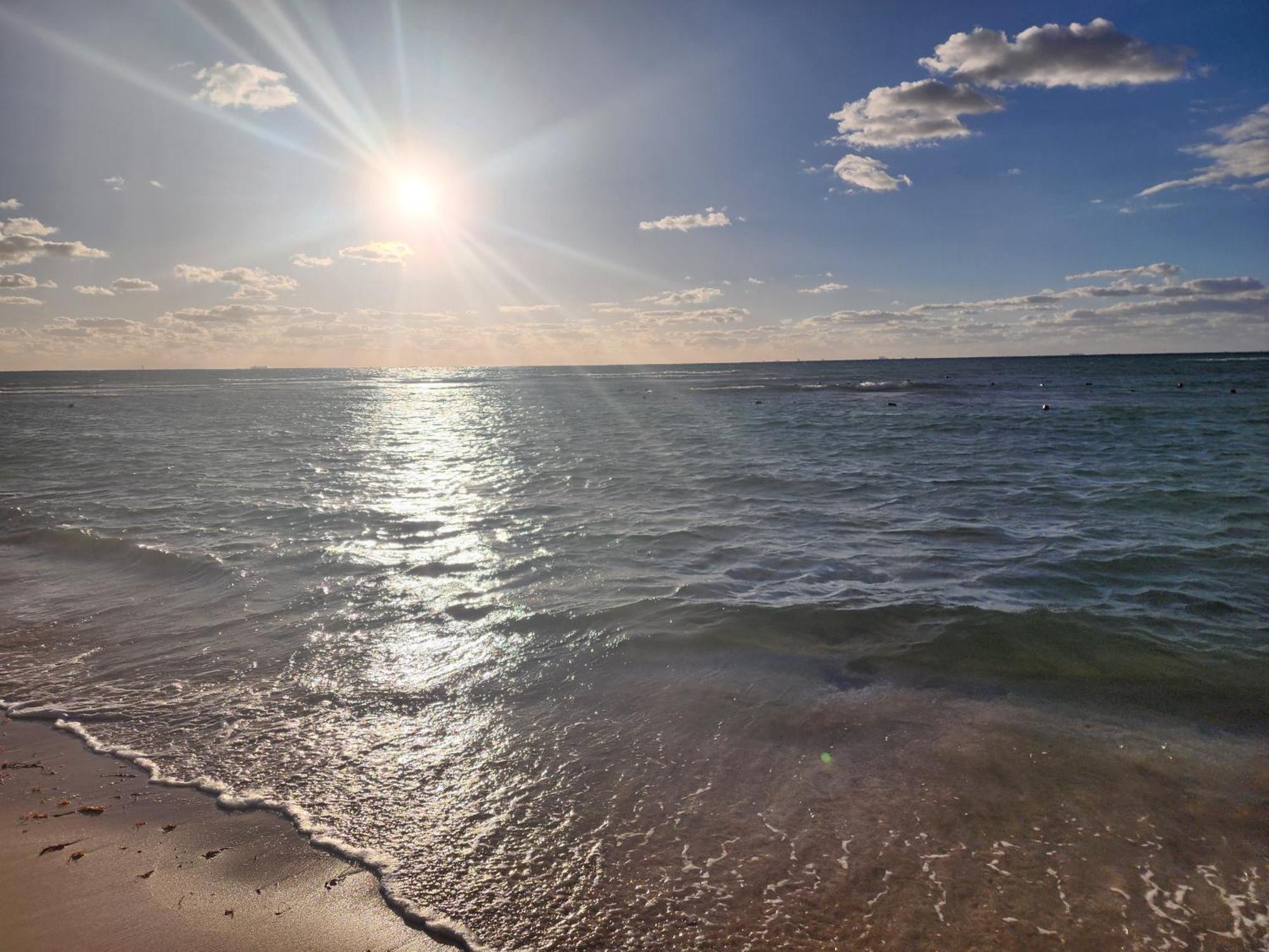 Stunning 1 Bdrm Condo Gym-Pool 10 Min To The Beach & Quinta Av Playa del Carmen Eksteriør bilde